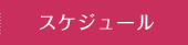 スケジュール