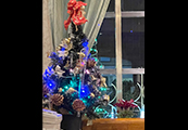 とっておきのChristmas